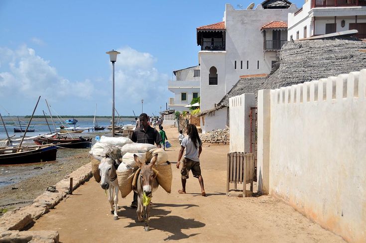Lamu Old Town Tours