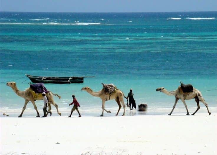 Custom Safari & Beach Packages