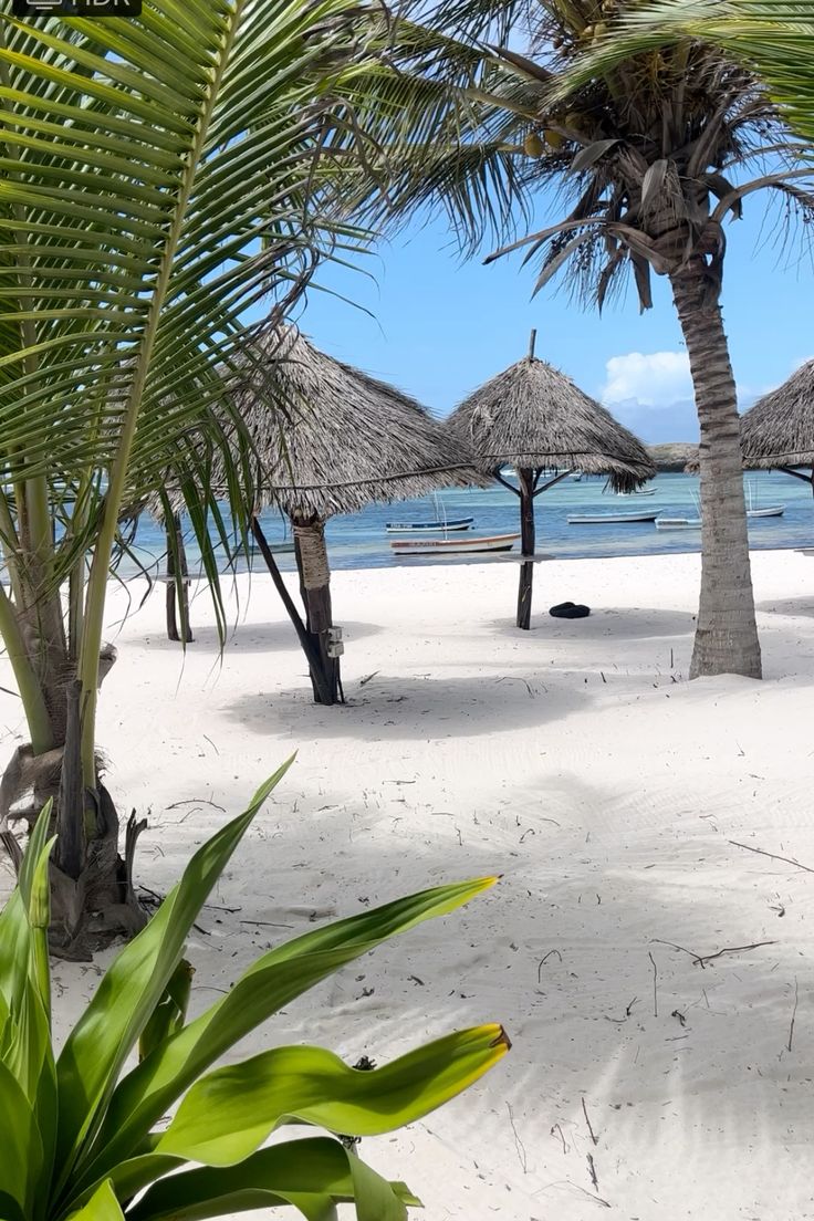 Watamu Beach | Kenya Safaris