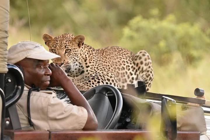 Maasai Mara National Park