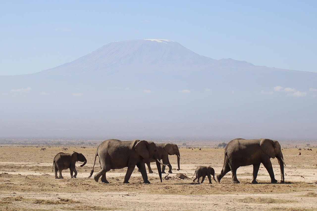 Is Kenya Safe for Safari?