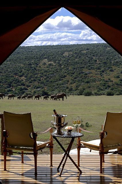 honeymoon safari Tanzania