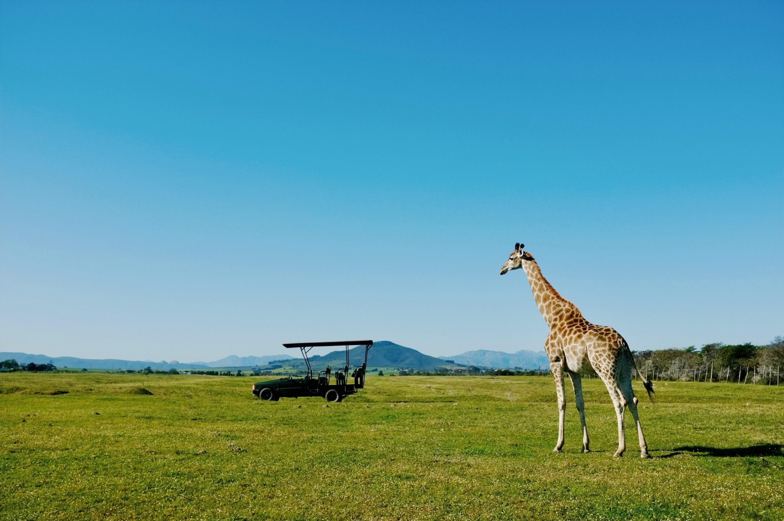Tanzania safari tours