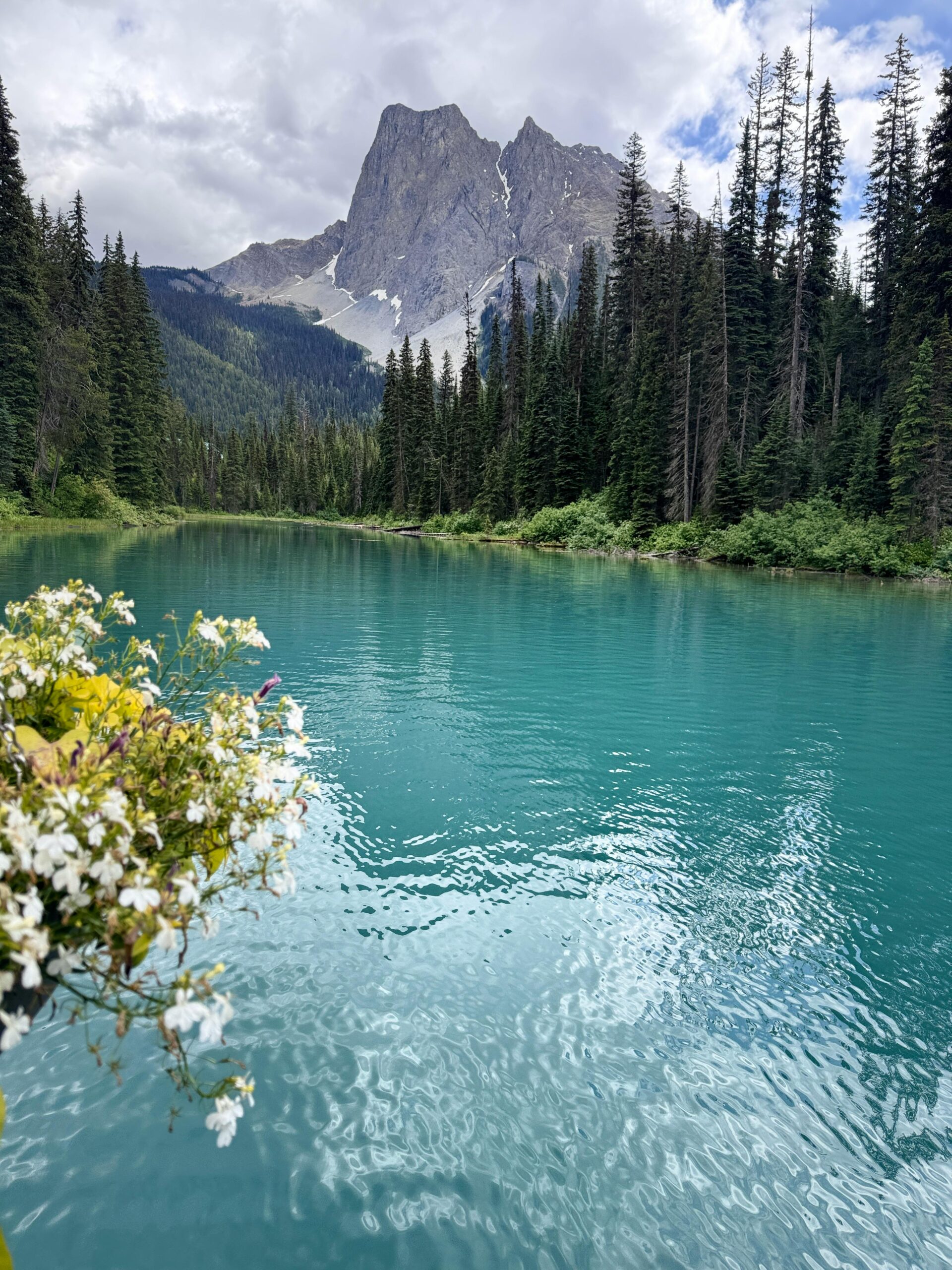 Lake Manyara National Park - The Jewel of Diversity