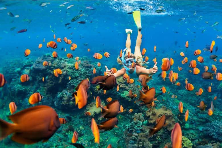 Snorkelling in Malindi