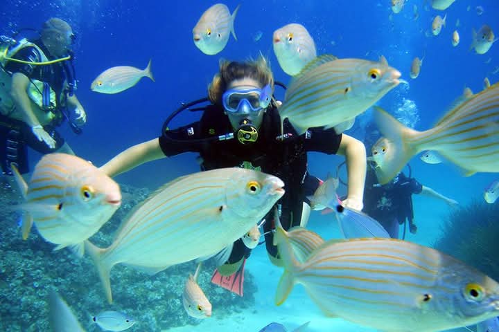 Sardegna Island, Malindi