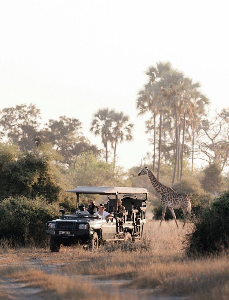 Honeymoon safari tours
